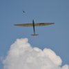 DSC_5221 (800x531)